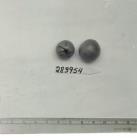 Click for 1 image(s) for this accession. FRUIT